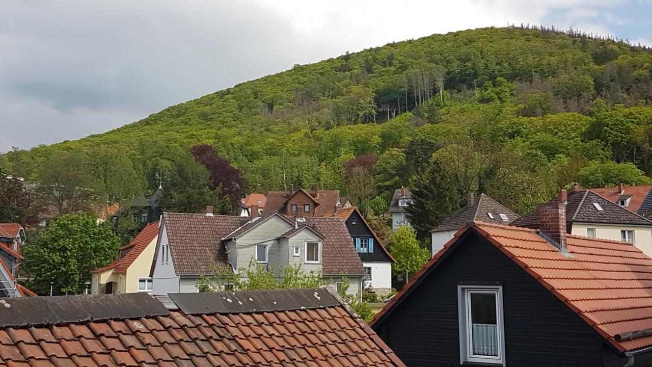 Апартаменти Brockenferien Бад-Гарцбург Екстер'єр фото